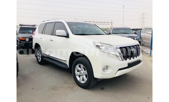 Buy Import Toyota Prado White Car in Import - Dubai in Adrar