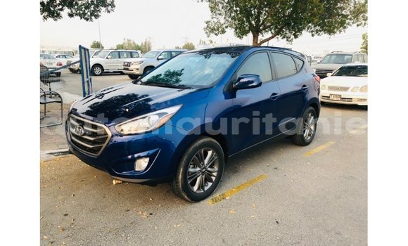 Buy Import Hyundai Tucson Blue Car in Import - Dubai in Adrar
