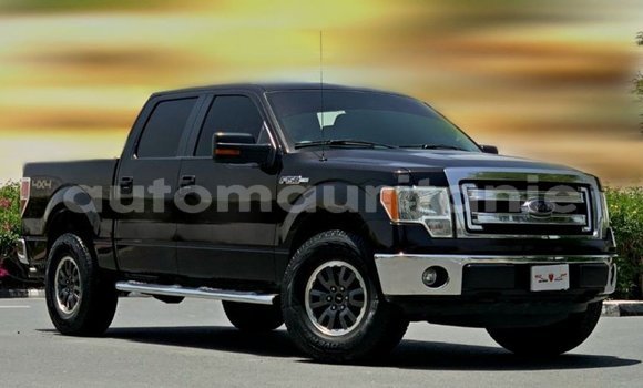 Acheter Import Voiture Ford Club Wagon Marron à Import - Dubai, Adrar