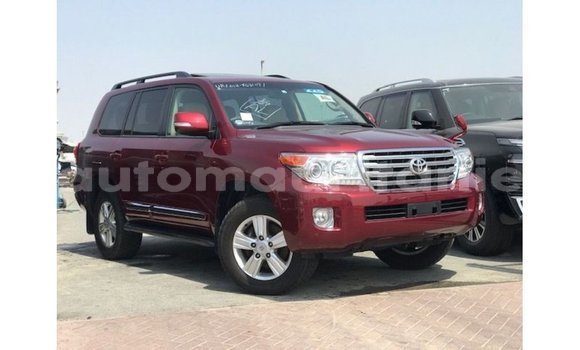 Buy Import Toyota Land Cruiser Red Car in Import - Dubai in Adrar