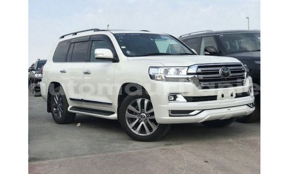 Buy Import Toyota Land Cruiser White Car in Import - Dubai in Adrar