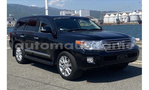 Buy Import Toyota Land Cruiser Black Car in Import - Dubai in Adrar