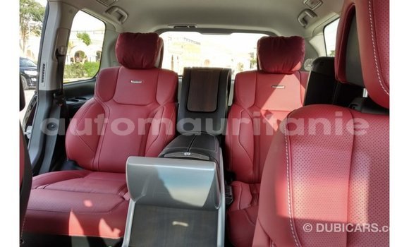 Buy Import Toyota Land Cruiser Black Car in Import - Dubai in Adrar Buy Import Toyota Land Cruiser Black Car in Import - Dubai in Adrar