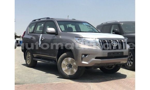 Buy Import Toyota Prado Brown Car in Import - Dubai in Adrar