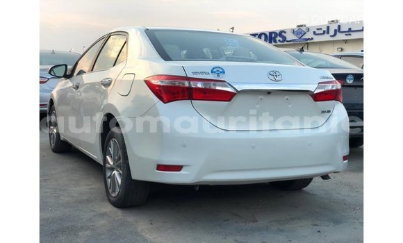 Buy Import Toyota Corolla White Car in Import - Dubai in Adrar Buy Import Toyota Corolla White Car in Import - Dubai in Adrar