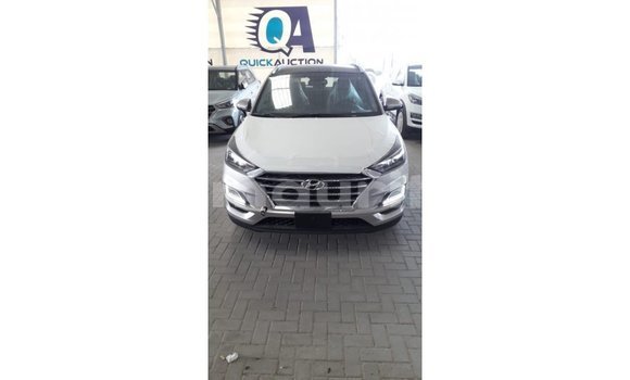 Buy Import Hyundai Tucson Other Car in Import - Dubai in Adrar Buy Import Hyundai Tucson Other Car in Import - Dubai in Adrar