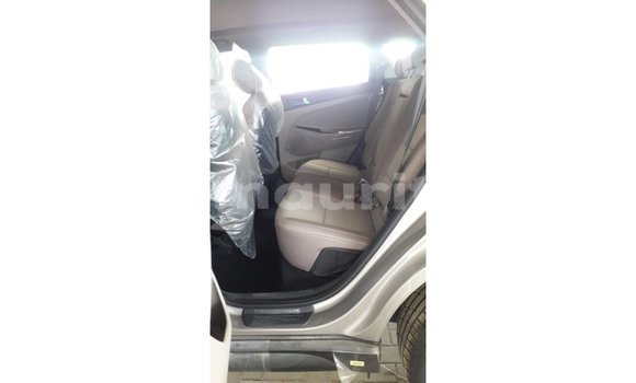 Buy Import Hyundai Tucson Other Car in Import - Dubai in Adrar Buy Import Hyundai Tucson Other Car in Import - Dubai in Adrar