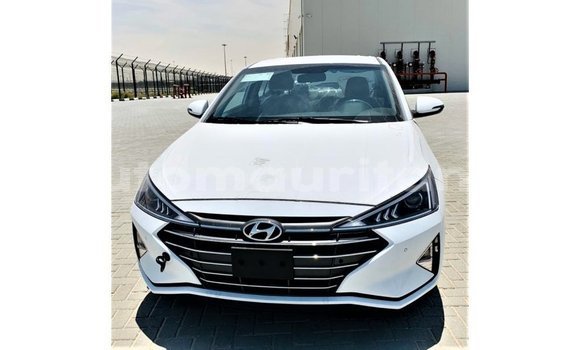 Buy Import Hyundai Elantra White Car in Import - Dubai in Adrar