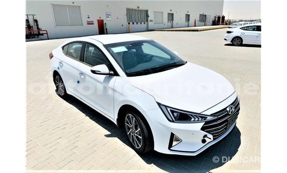 Buy Import Hyundai Elantra White Car in Import - Dubai in Adrar Buy Import Hyundai Elantra White Car in Import - Dubai in Adrar