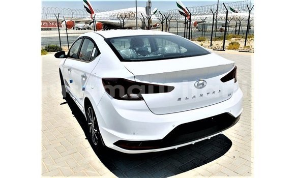 Buy Import Hyundai Elantra White Car in Import - Dubai in Adrar Buy Import Hyundai Elantra White Car in Import - Dubai in Adrar