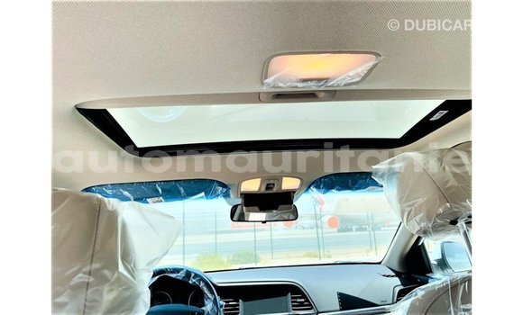 Buy Import Hyundai Elantra White Car in Import - Dubai in Adrar Buy Import Hyundai Elantra White Car in Import - Dubai in Adrar