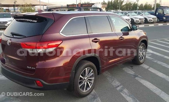 Acheter Import Voiture Toyota Highlander Autre à Import - Dubai, Adrar Acheter Import Voiture Toyota Highlander Autre à Import - Dubai, Adrar