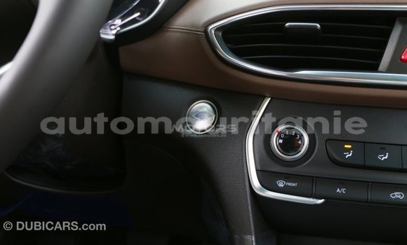 Buy Import Hyundai Santa Fe Brown Car in Import - Dubai in Adrar Buy Import Hyundai Santa Fe Brown Car in Import - Dubai in Adrar