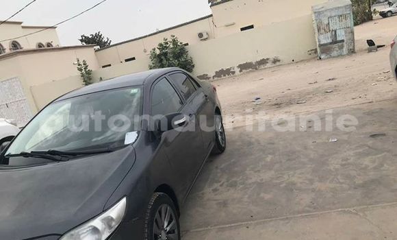 Buy Used Toyota Corolla Black Car in Nouakchott in West Nouakchott Buy Used Toyota Corolla Black Car in Nouakchott in West Nouakchott