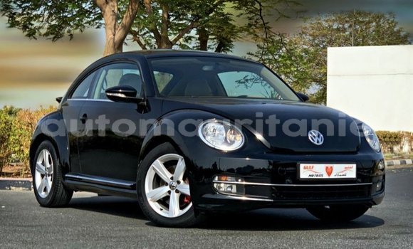 Acheter Import Voiture Volkswagen Beetle Noir à Import - Dubai, Adrar