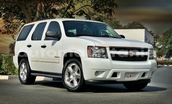 Buy Import Chevrolet Tahoe White Car in Import - Dubai in Adrar