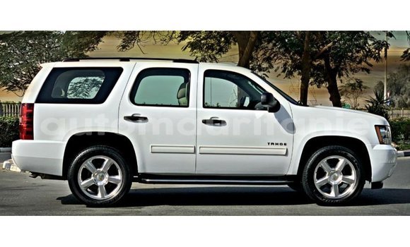 Acheter Import Voiture Chevrolet Tahoe Blanc à Import - Dubai, Adrar Acheter Import Voiture Chevrolet Tahoe Blanc à Import - Dubai, Adrar