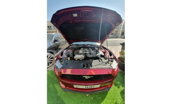 Buy Import Ford Mustang Red Car in Import - Dubai in Adrar Buy Import Ford Mustang Red Car in Import - Dubai in Adrar