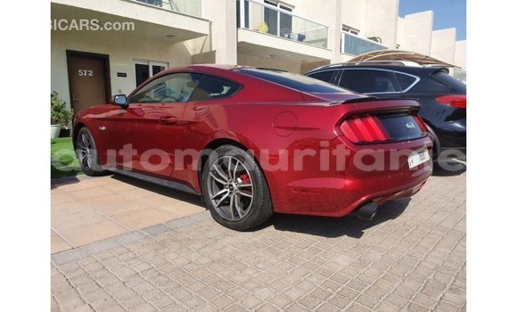Buy Import Ford Mustang Red Car in Import - Dubai in Adrar Buy Import Ford Mustang Red Car in Import - Dubai in Adrar