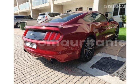 Buy Import Ford Mustang Red Car in Import - Dubai in Adrar Buy Import Ford Mustang Red Car in Import - Dubai in Adrar
