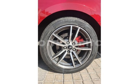 Buy Import Ford Mustang Red Car in Import - Dubai in Adrar Buy Import Ford Mustang Red Car in Import - Dubai in Adrar