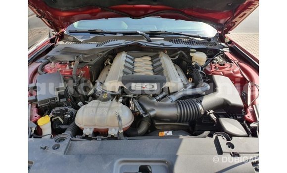 Buy Import Ford Mustang Red Car in Import - Dubai in Adrar Buy Import Ford Mustang Red Car in Import - Dubai in Adrar