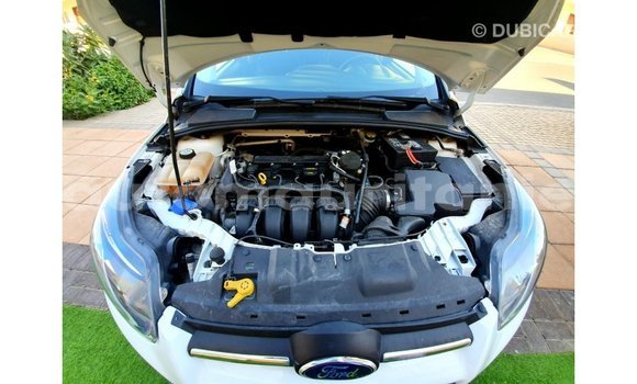 Buy Import Ford Focus White Car in Import - Dubai in Adrar Buy Import Ford Focus White Car in Import - Dubai in Adrar