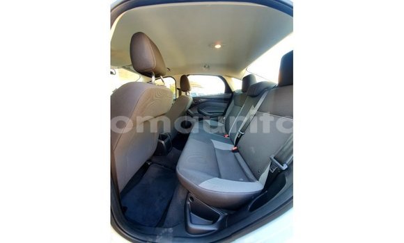 Buy Import Ford Focus White Car in Import - Dubai in Adrar Buy Import Ford Focus White Car in Import - Dubai in Adrar