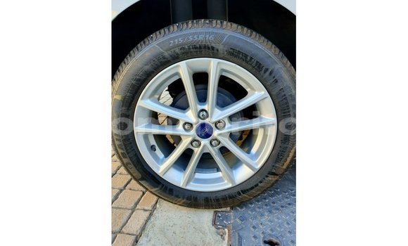 Buy Import Ford Focus White Car in Import - Dubai in Adrar Buy Import Ford Focus White Car in Import - Dubai in Adrar