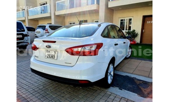 Buy Import Ford Focus White Car in Import - Dubai in Adrar Buy Import Ford Focus White Car in Import - Dubai in Adrar