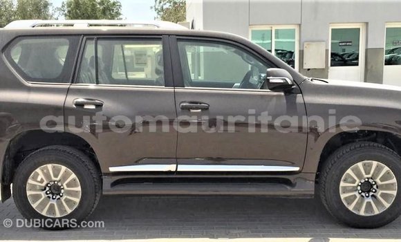 Buy Import Toyota Prado Brown Car in Import - Dubai in Adrar Buy Import Toyota Prado Brown Car in Import - Dubai in Adrar