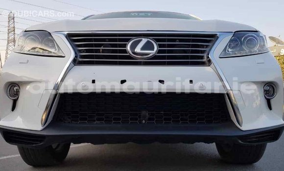 Buy Import Lexus RX 350 White Car in Import - Dubai in Adrar Buy Import Lexus RX 350 White Car in Import - Dubai in Adrar