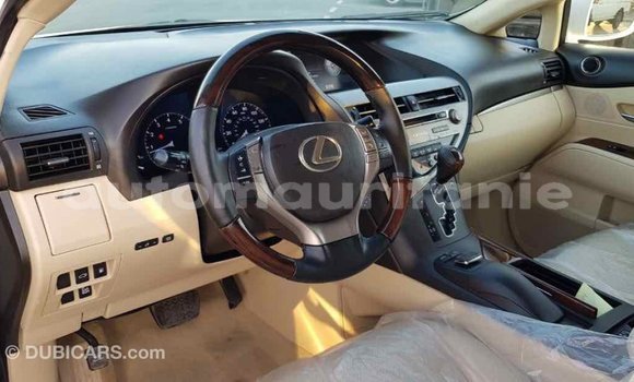 Buy Import Lexus RX 350 White Car in Import - Dubai in Adrar Buy Import Lexus RX 350 White Car in Import - Dubai in Adrar