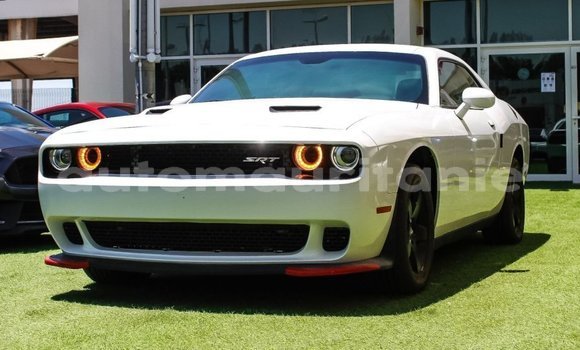 Buy Import Dodge Challenger White Car in Import - Dubai in Adrar