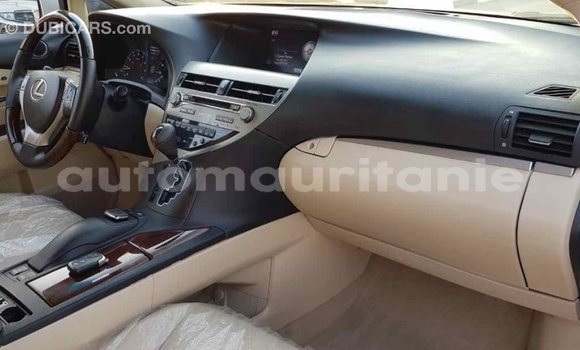 Buy Import Lexus RX 350 White Car in Import - Dubai in Adrar Buy Import Lexus RX 350 White Car in Import - Dubai in Adrar