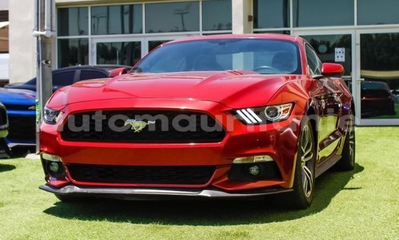 Buy Import Ford Mustang Red Car in Import - Dubai in Adrar
