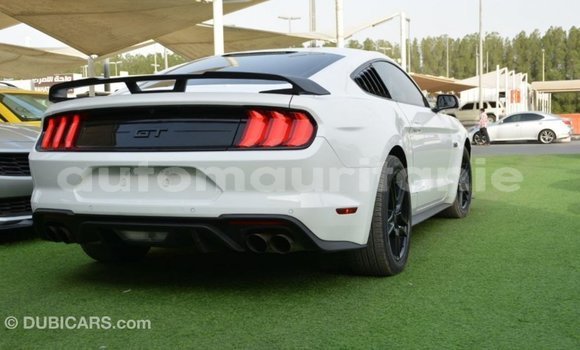 Acheter Import Voiture Ford Mustang Blanc à Import - Dubai, Adrar Acheter Import Voiture Ford Mustang Blanc à Import - Dubai, Adrar