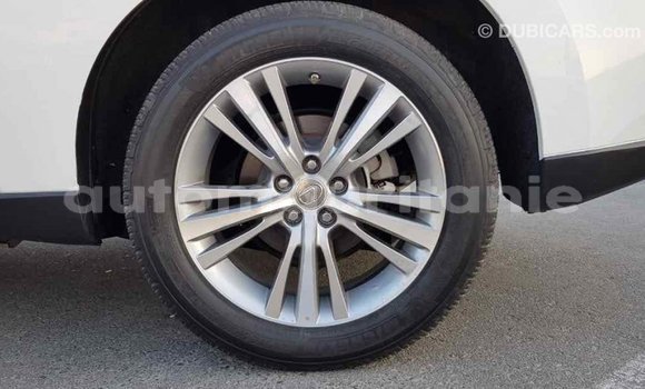 Buy Import Lexus RX 350 White Car in Import - Dubai in Adrar Buy Import Lexus RX 350 White Car in Import - Dubai in Adrar