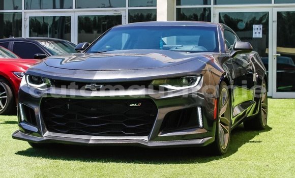 Buy Import Chevrolet Camaro Other Car in Import - Dubai in Adrar