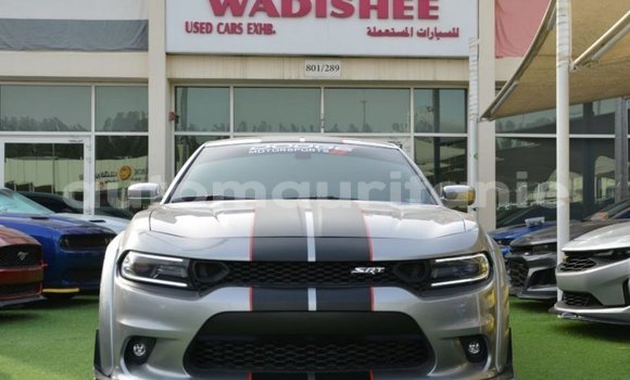 Acheter Import Voiture Dodge Charger Autre à Import - Dubai, Adrar