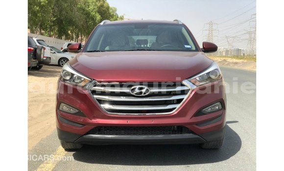 Buy Import Hyundai Tucson Red Car in Import - Dubai in Adrar Buy Import Hyundai Tucson Red Car in Import - Dubai in Adrar
