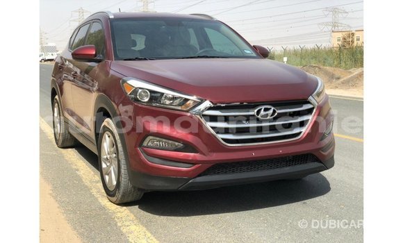 Buy Import Hyundai Tucson Red Car in Import - Dubai in Adrar Buy Import Hyundai Tucson Red Car in Import - Dubai in Adrar
