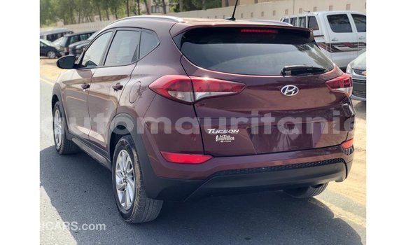 Buy Import Hyundai Tucson Red Car in Import - Dubai in Adrar Buy Import Hyundai Tucson Red Car in Import - Dubai in Adrar