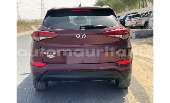 Buy Import Hyundai Tucson Red Car in Import - Dubai in Adrar Buy Import Hyundai Tucson Red Car in Import - Dubai in Adrar