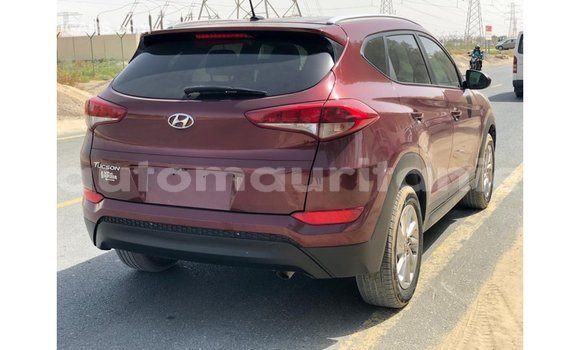 Buy Import Hyundai Tucson Red Car in Import - Dubai in Adrar Buy Import Hyundai Tucson Red Car in Import - Dubai in Adrar