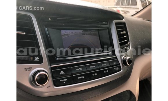 Buy Import Hyundai Tucson Red Car in Import - Dubai in Adrar Buy Import Hyundai Tucson Red Car in Import - Dubai in Adrar