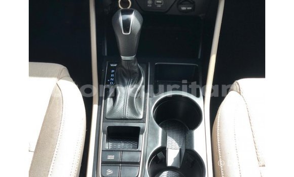 Buy Import Hyundai Tucson Red Car in Import - Dubai in Adrar Buy Import Hyundai Tucson Red Car in Import - Dubai in Adrar