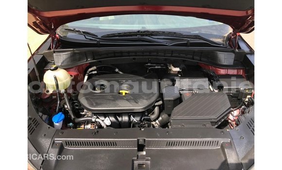 Buy Import Hyundai Tucson Red Car in Import - Dubai in Adrar Buy Import Hyundai Tucson Red Car in Import - Dubai in Adrar