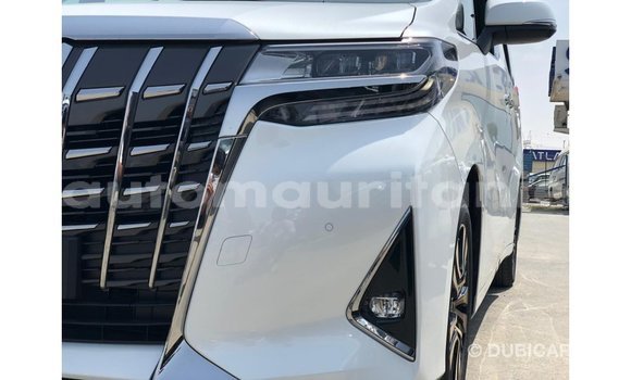 Buy Import Toyota Alphard White Car in Import - Dubai in Adrar Buy Import Toyota Alphard White Car in Import - Dubai in Adrar