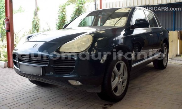 Buy Import Porsche Cayenne Green Car in Import - Dubai in Adrar Buy Import Porsche Cayenne Green Car in Import - Dubai in Adrar